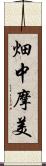 畑中摩美 Scroll