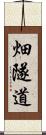畑隧道 Scroll