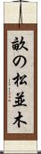 畝の松並木 Scroll