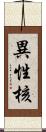異性核 Scroll