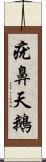 疣鼻天鵝 Scroll