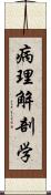 病理解剖学 Scroll