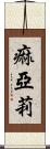 痲亞莉 Scroll