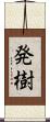 発樹 Scroll