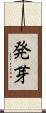 発芽 Scroll