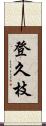 登久枝 Scroll