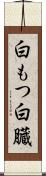 白もつ Scroll