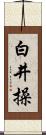 白井操 Scroll