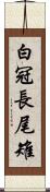 白冠長尾雉 Scroll