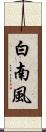 白南風 Scroll