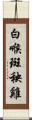 白喉斑秧雞 Scroll