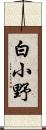 白小野 Scroll