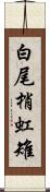 白尾梢虹雉 Scroll