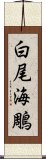 白尾海鵰 Scroll