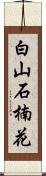 白山石楠花 Scroll