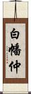 白幡仲 Scroll