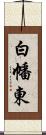 白幡東 Scroll