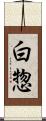 白惣 Scroll