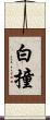 白撞 Scroll