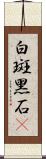 白斑黑石䳭 Scroll