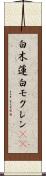 白木蓮 Scroll