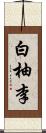 白柚李 Scroll