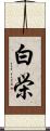 白栄 Scroll