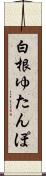 白根ゆたんぽ Scroll