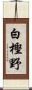 白樫野 Scroll