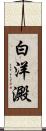 白洋澱 Scroll