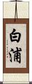 白浦 Scroll