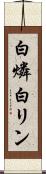 白燐 Scroll