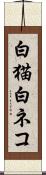 白猫 Scroll