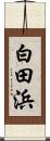 白田浜 Scroll