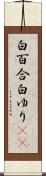 白百合 Scroll
