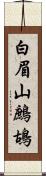 白眉山鷓鴣 Scroll