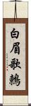 白眉歌鶇 Scroll