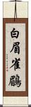 白眉雀鶥 Scroll