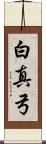 白真弓 Scroll