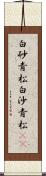 白砂青松 Scroll