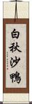 白秋沙鴨 Scroll