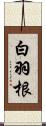 白羽根 Scroll