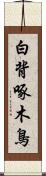 白背啄木鳥 Scroll
