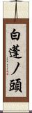 白蓬ノ頭 Scroll