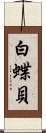 白蝶貝 Scroll