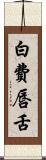 白費唇舌 Scroll