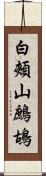 白頰山鷓鴣 Scroll