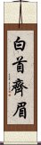 白首齊眉 Scroll