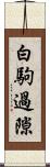 白駒過隙 Scroll