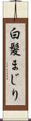 白髪まじり Scroll
